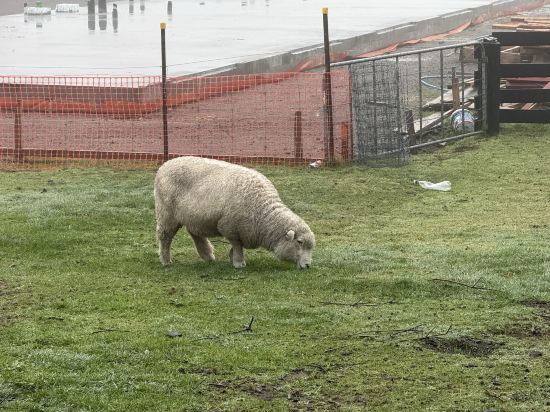 羅託路亞世外桃源旅舍優惠