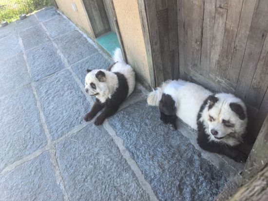 洛杉磯/聖加布裏埃爾希爾頓酒店優惠