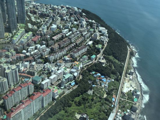 Busan 369 쿠폰