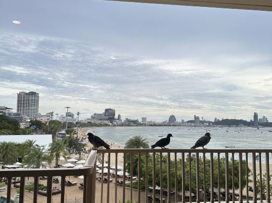 芭堤雅都喜天麗酒店 （SHA Extra Plus）優惠