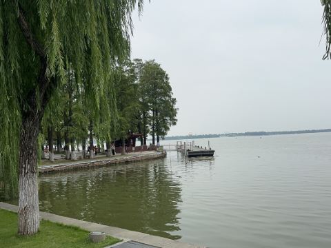 武漢翠柳村客舍優惠