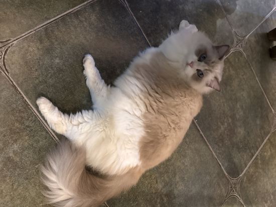 上海朱家角雅韻居客棧優惠