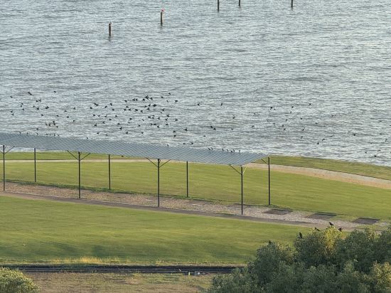 澳門鷺環海天度假酒店優惠