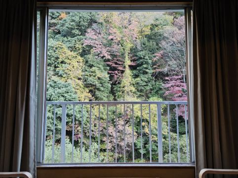 箱根パークス吉野 クーポン