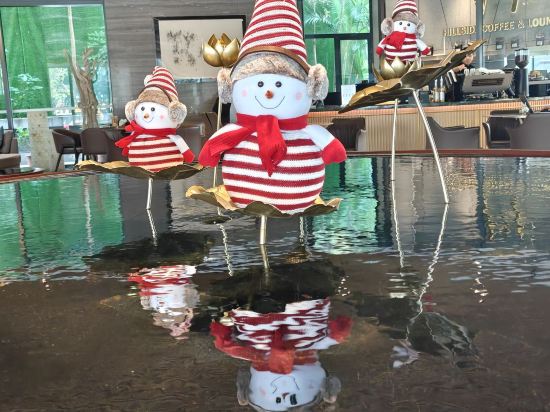 深圳伊敦雅詩閣服務公寓優惠