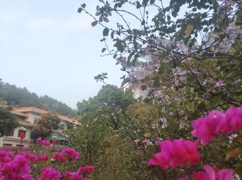 雲浮迎賓館優惠