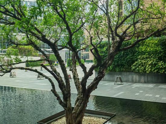 東莞洲際酒店優惠