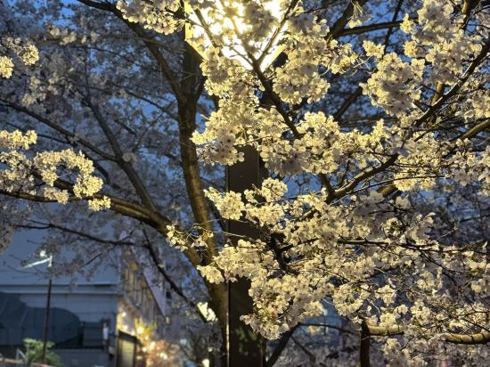 東京王子音樂廳旅舍優惠