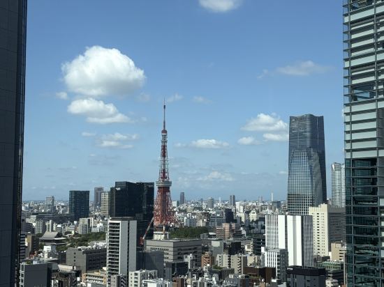 THE 皇家花園 ICONIC飯店 東京汐留優惠