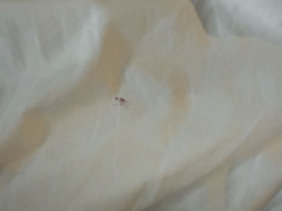 天然温泉 凌雲の湯 御宿 野乃 浅草 クーポン