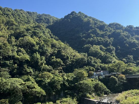 苗栗泰安觀止溫泉會館優惠