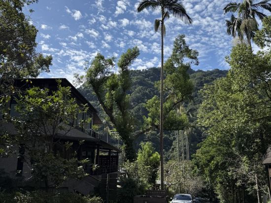 新北三峽大板根森林溫泉飯店優惠