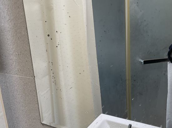 雀客快捷台中福星二館優惠