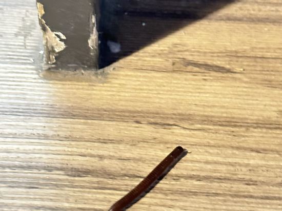 台中芭蕾城堡酒店優惠