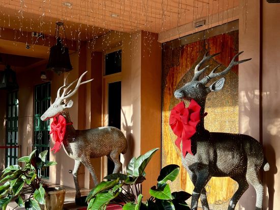 屏東墾丁亞曼達會館優惠