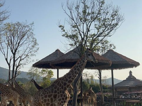 清遠順盈廣百亞朵酒店優惠