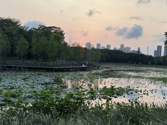 深圳大學南山科技園芮汐酒店優惠