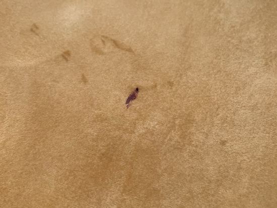 博斯科維克精品酒店優惠