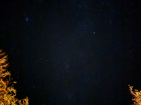 麻生釣温泉　亀山の湯・宿 クーポン