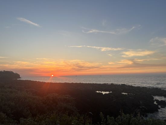 제주 엘쯔타운 독채펜션 쿠폰