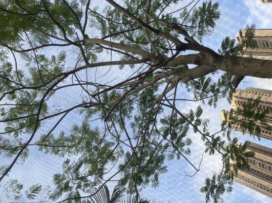 56新房酒店（海口萬國大都會店）優惠