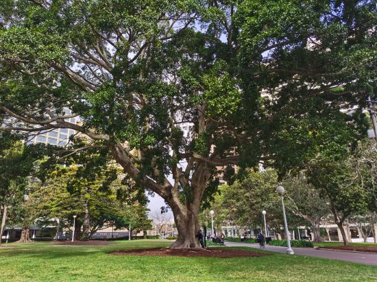 悉尼鉑爾曼海德公園酒店優惠