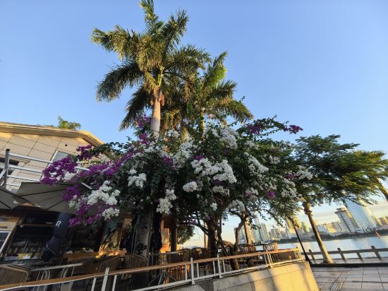 鼓浪嶼柏文熊飯店（三丘田碼頭店）優惠