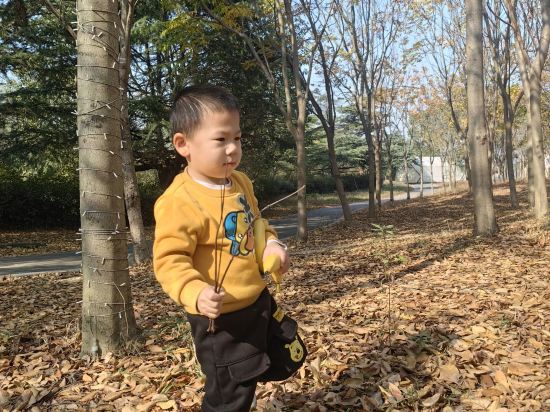 上海太陽島度假酒店優惠