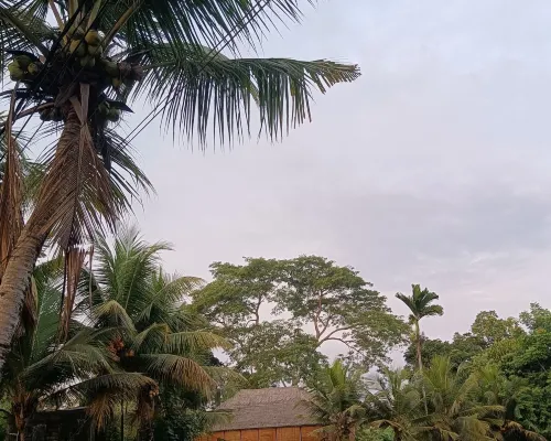 Prashanti Bali بالقرب من الفندق Photos