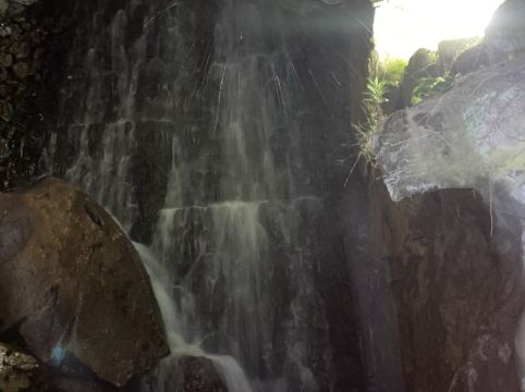 渚の荘 花季 クーポン