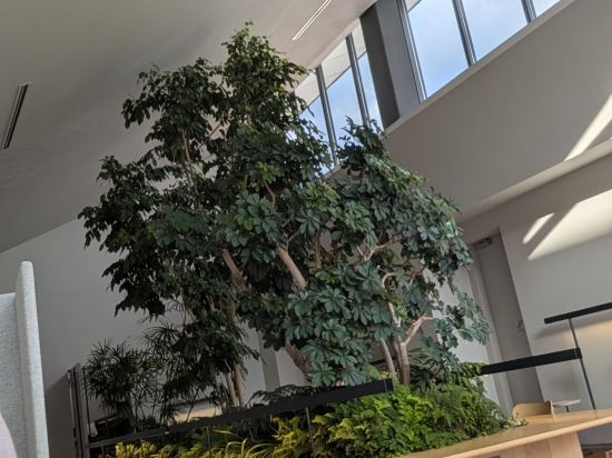 ナインアワーズ博多駅 クーポン