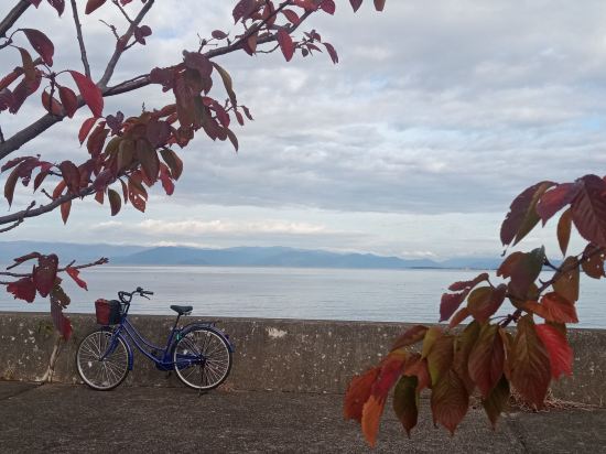 彥根舒適飯店優惠