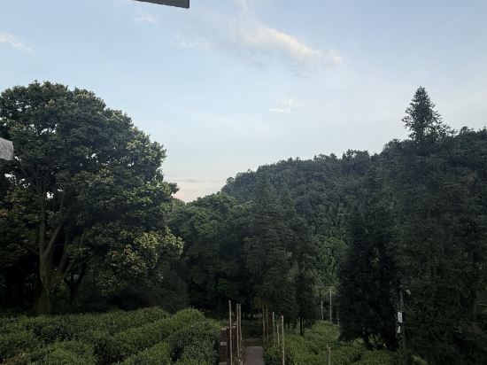 邛崍竹上花楸民宿優惠