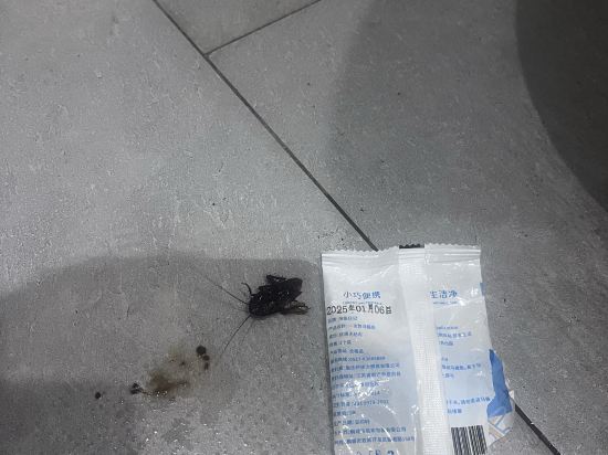 瀘州千悦酒店優惠