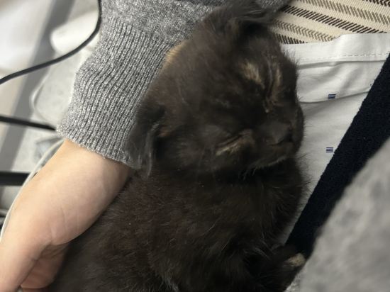 閱城瓦舍旅行飯店（西安鐘鼓樓南門店）優惠