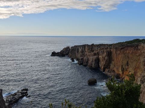 南紀・白浜温泉 龍鳳苑 クーポン