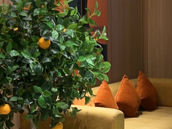 桔子飯店（東莞東城萬達店）優惠