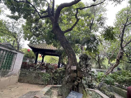 麗楓酒店（佛山順德大良清暉園步行街店）優惠