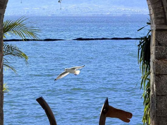 大理瀾庭別院優惠