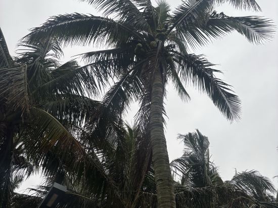 海口香格里拉酒店優惠