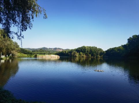東莞觀瀾湖度假酒店優惠