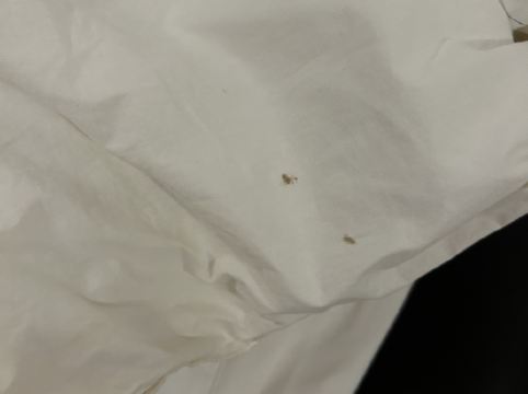 檳城檳榔酒店 （檳城對抗新冠肺炎認證）優惠