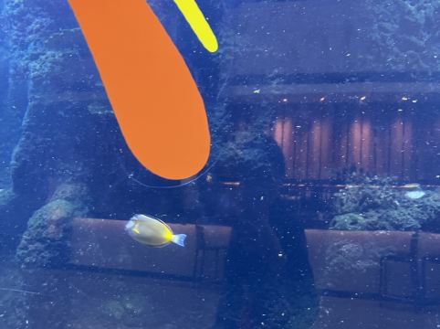 佛山希爾頓酒店優惠