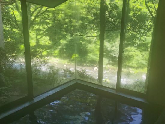 アネックス タートル ほとり庵 クーポン