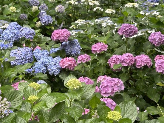 ホテル 現代楽園 伊勢原店 - 大人限定 クーポン