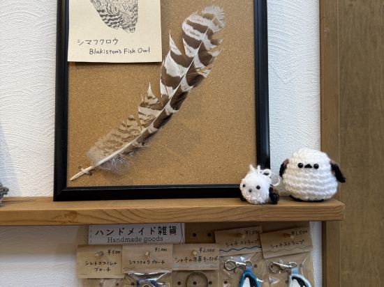 斯瑞濤看塞萊民宿優惠