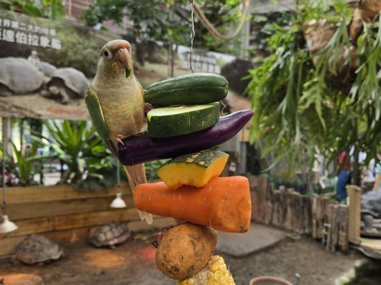 新竹國賓大飯店優惠