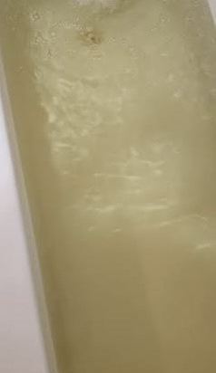 布城萬豪飯店優惠