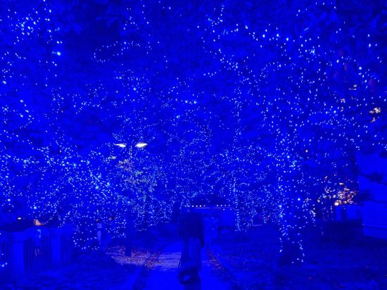 福岡天神舒適飯店優惠