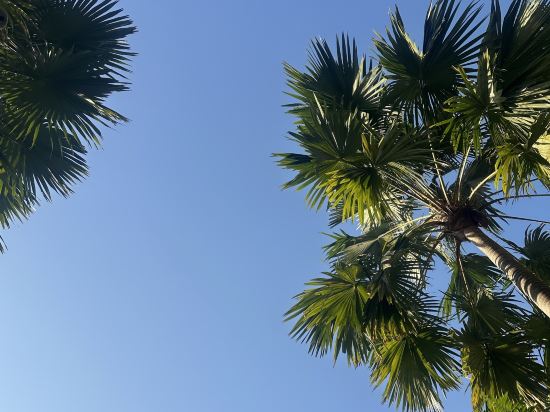 曼谷湄南河四季飯店優惠